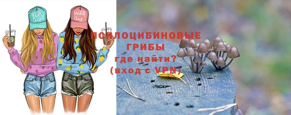 ALPHA PVP Богородицк