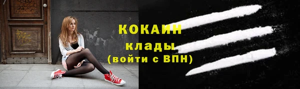 индика Беломорск