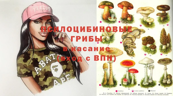 марихуана Белокуриха