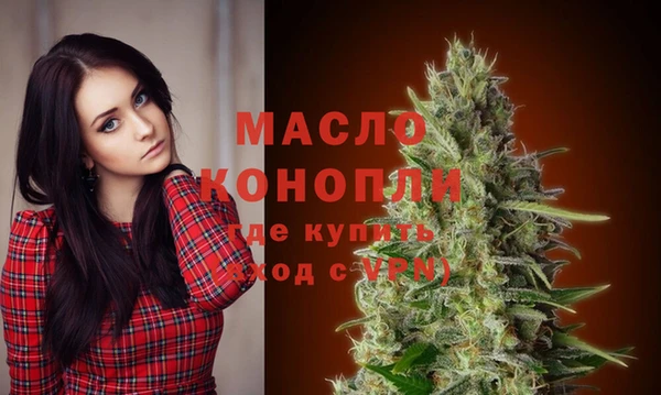 индика Беломорск