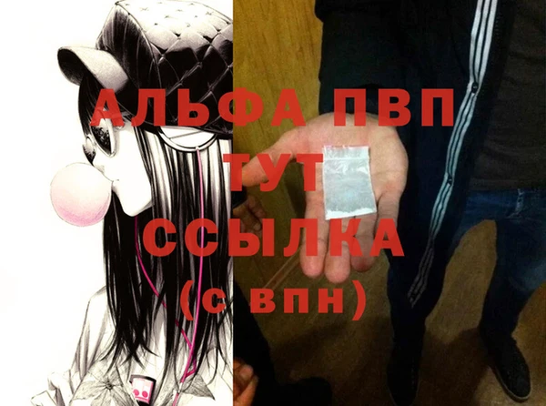 индика Беломорск