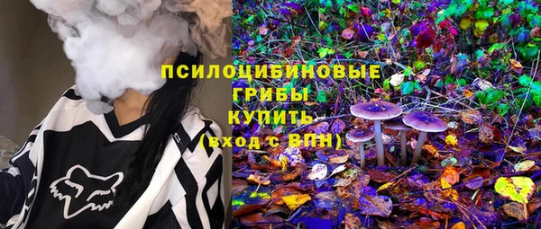 ALPHA PVP Богородицк