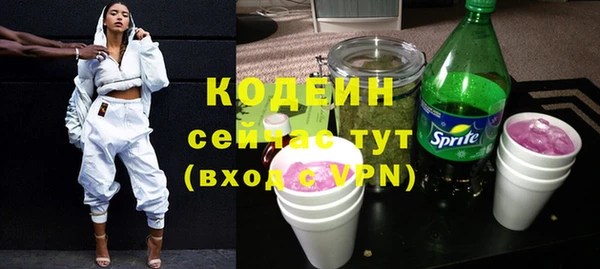 индика Беломорск